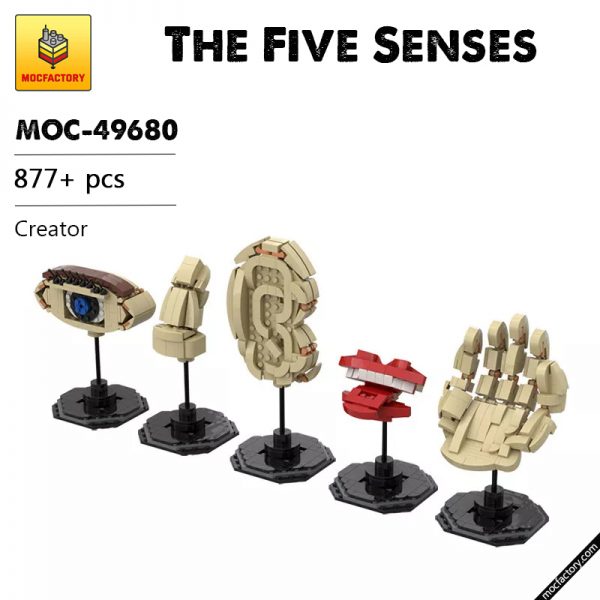 MOC 49680 The Five Senses Creator by gabizon MOCFACTORY - MOULD KING